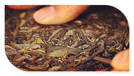 莽山特色茶的名字是什么？求好听的名字！