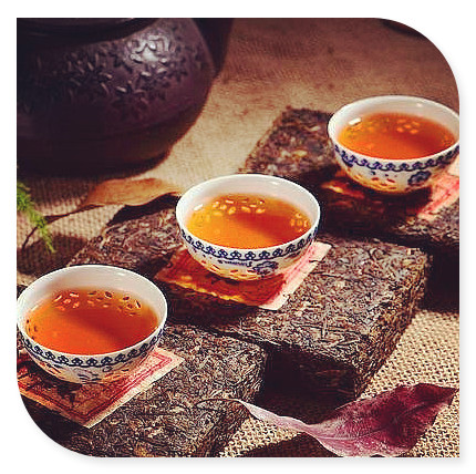 上海特色茶叶-上海特色茶叶有哪些