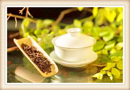中国最贵的茶树大红袍，揭秘中国最贵的茶树品种：大红袍的独特魅力与价值所在