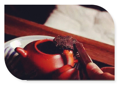 丽水松阳茶叶市场，探访浙江丽水松阳茶叶市场，品味地道名茶的无穷魅力！