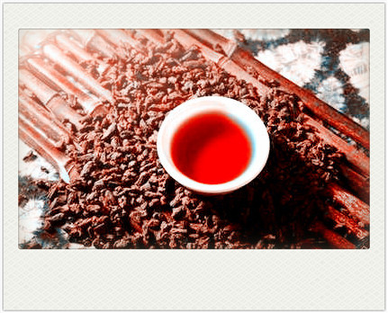 踏雪兰菲兰花香茶简介及其茶叶属于什么茶