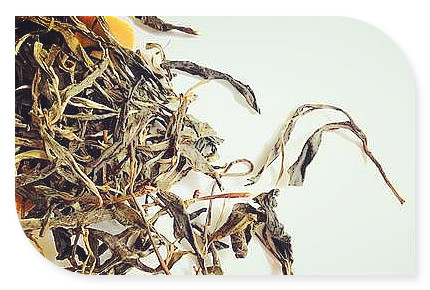 石清茶的功效与作用价格，揭秘石清茶的神奇功效与作用，一文看懂其市场价