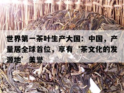 世界之一茶叶生产大国：中国，产量居全球首位，享有‘茶文化的发源地’美誉