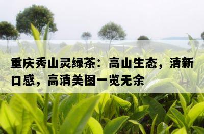 重庆秀山灵绿茶：高山生态，清新口感，高清美图一览无余
