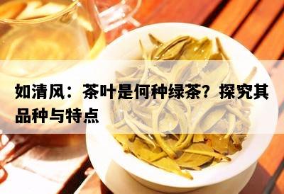 如清风：茶叶是何种绿茶？探究其品种与特点