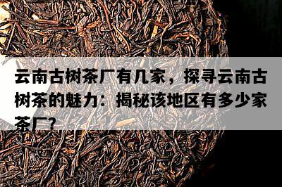 云南古树茶厂有几家，探寻云南古树茶的魅力：揭秘该地区有多少家茶厂？