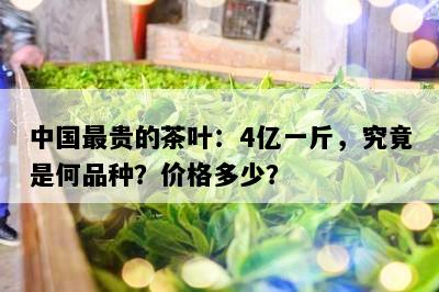 中国最贵的茶叶：4亿一斤，究竟是何品种？价格多少？